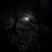 Дамир Колбасенко