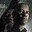 The Equalizer