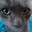 kim jung-hyun