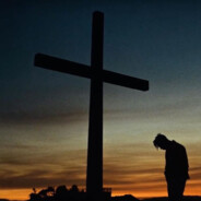 волосатый дурень