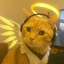 浮士德小西瓜博士Meow