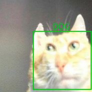 ♚Cat_Cat