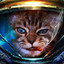 [SC] Commander Kitten