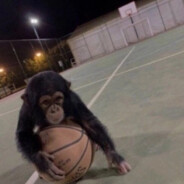 funnymonke - steam id 76561198200648241