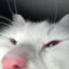 Mupz