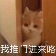 午夜心碎猫猫头