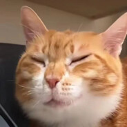 不爱吃西瓜的土豆