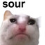 Sour Worm