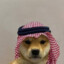 Dogwifsaudihat