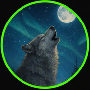 Silent_Wolf_16 avatar
