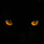BigBlackCat