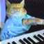 keyboard cat