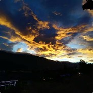 老中医的狗皮膏药