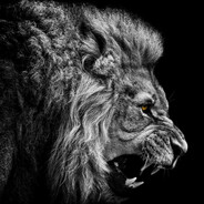 MUFASA
