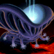 HALAL SNACKBAR avatar