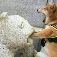 hnan_grace