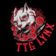 TTG Linx