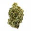 i like to sell weed