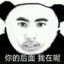 沙漠拳王玉素甫