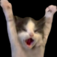 HONEY - steam id 76561199368198870