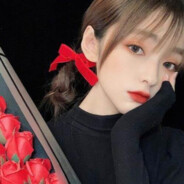 晚风不及韩小姐