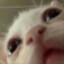 :p