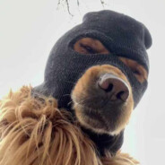 她说戴了不算给