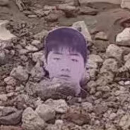 AAA.泰州土行孙—溏菌蕾