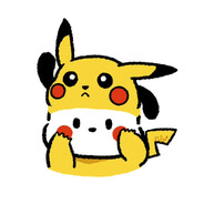 瓜皮(恩师巴特)