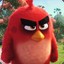 AngryBird