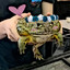 Geckica