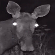 MajorKoktel4ik - steam id 76561199123478598