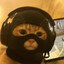 Cat Shiesty