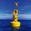 Buoy