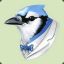 Bluejay134