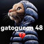 gato gueon