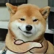 法洛me