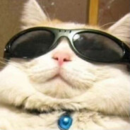 Hi，美丽的小姐我叫Bond你的GGbond