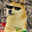 Doge To much weed