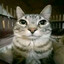 Raemon