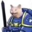 pig