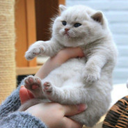 ஐღ⎠⎛ღToLьko TvоЯღ