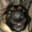 bigpeepeedaddy avatar
