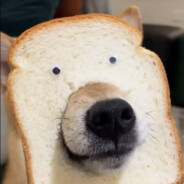 雷电法王：喜羊羊