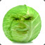 Ben Shapiro Cabbage