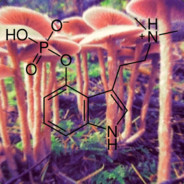 Shroom