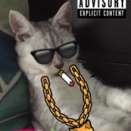 欧拉欧拉欧拉欧拉