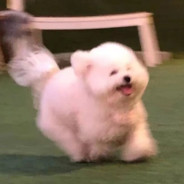 高端的敌人往往以队友的形式出现