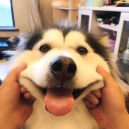 假如我们像说好的那样