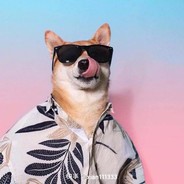 网恋被骗两个大电